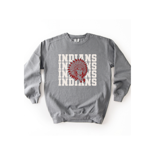 Premium Adult Crewneck Sweatshirt | 1