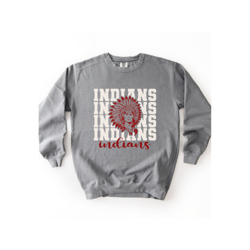 Premium Adult Crewneck Sweatshirt | 2