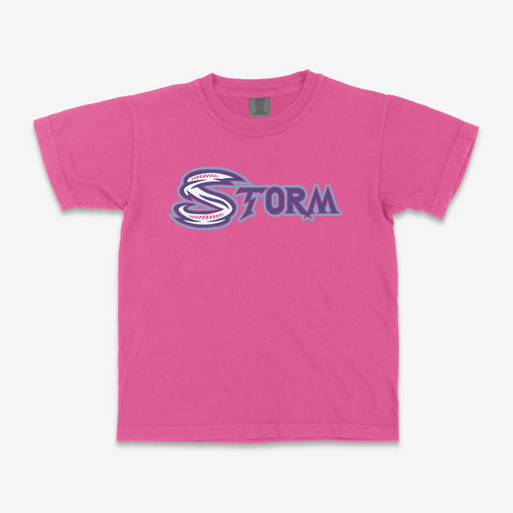 Comfort Colors Youth T-Shirt | Crunchberry